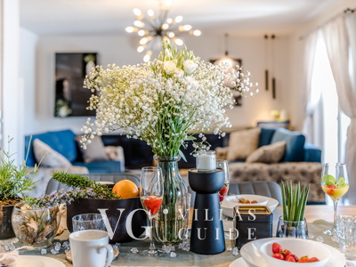 Villa Olive-Privlaka Kitchen