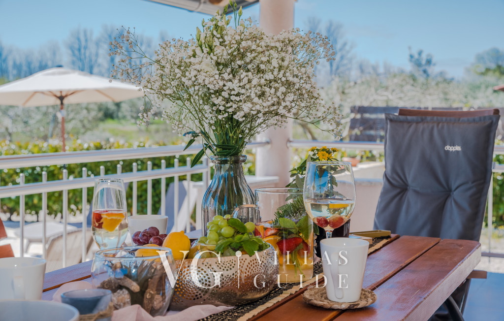 Villa Olive-Privlaka Garden and property exterior