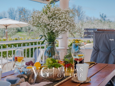 Villa Olive-Privlaka Giardino e esterni della proprietà