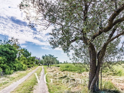 Apartman Petar Dvorište i vanjski dio objekta