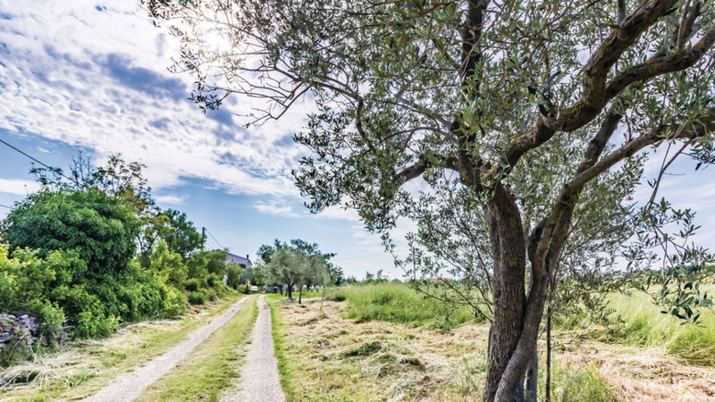 Apartman Petar