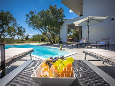 Villa Karla with pool&sea view&pet friendly Piscina