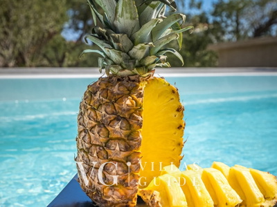 Villa Karla with pool&sea view&pet friendly Piscina