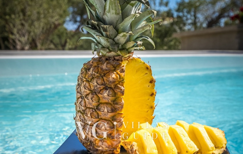 Villa Karla with pool&sea view&pet friendly Pool