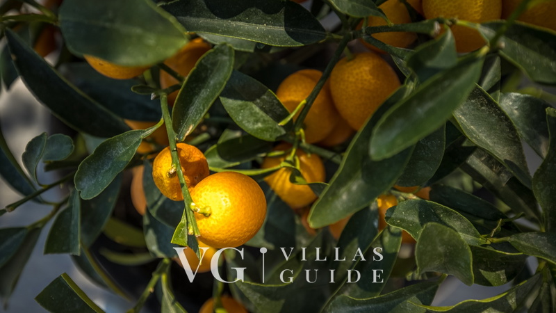 Villa Karla with pool&sea view&pet friendly Dodatni sadržaji