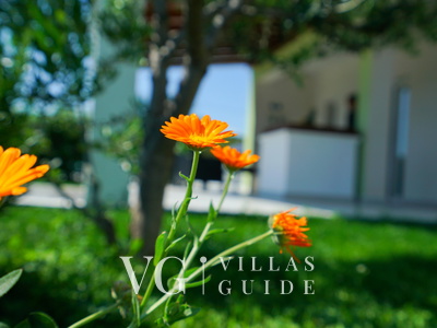 Green Escape Holiday House Garden and property exterior