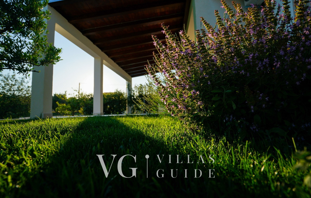 Green Escape Holiday House Pool