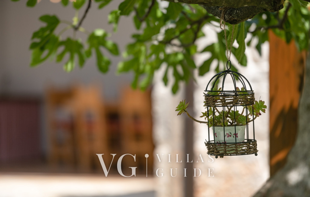 Villa Katja Garden and property exterior