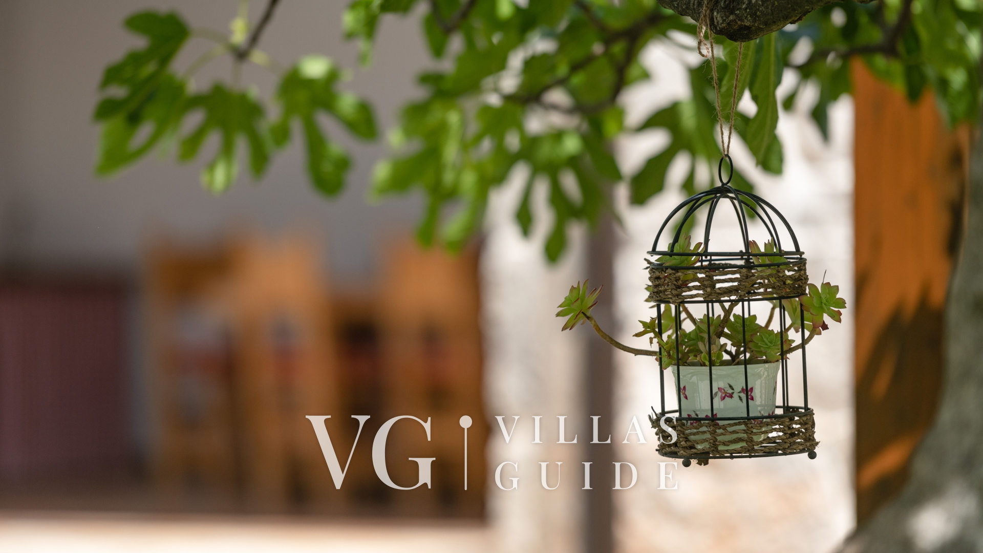 Villa Katja Giardino e esterni della proprietà