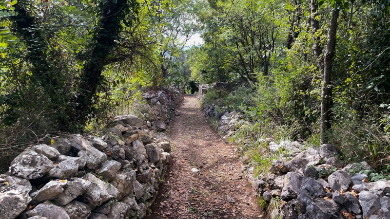Villa Ruby beachfront