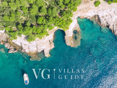 Vila Above micro_location