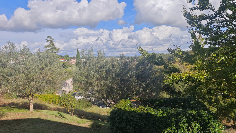 Flora Apartment with pool