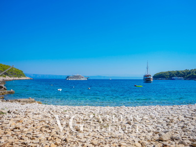 House  Vinka Garden and property exterior