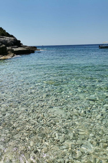 Studio apartment Flora