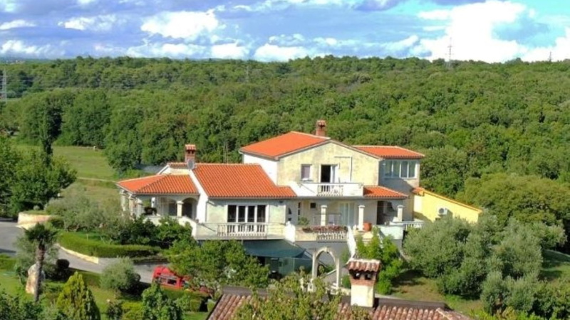 Studio apartment Flora