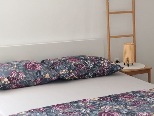 Apartman with pool - Saša