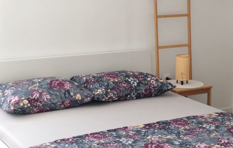 Apartman with pool - Saša