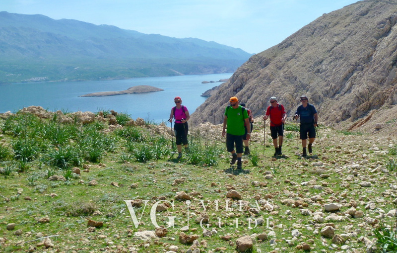 Luxury Villa Mer calme pool&pet friendly apartman 1 Microposizione