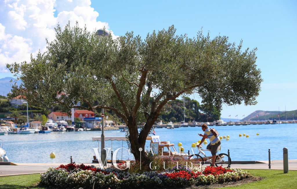 Luxury Villa Mer calme pool&pet friendly apartman 1 Microposizione