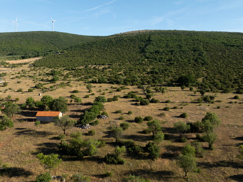 Holiday house Hedonica