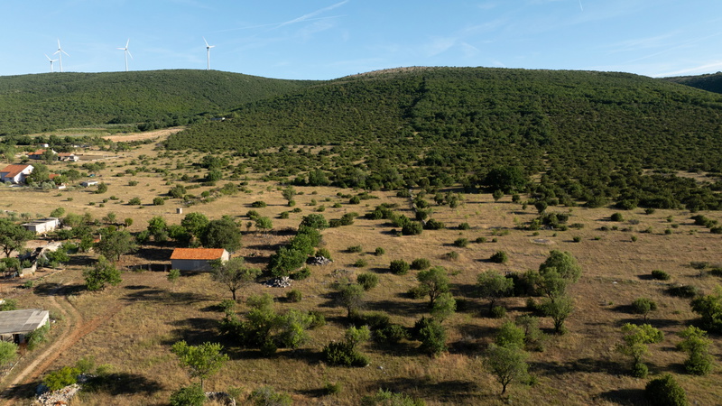 Holiday house Hedonica