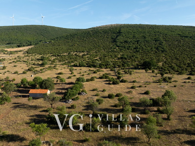 Holiday house Hedonica