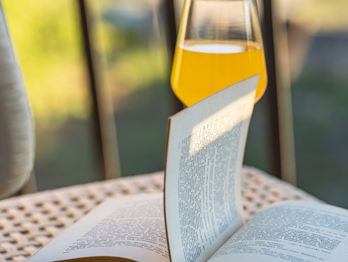 Holiday house Hedonica