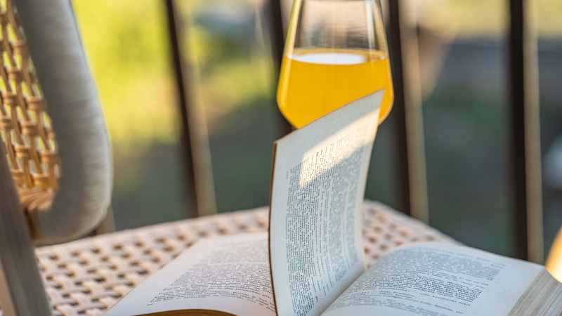 Holiday house Hedonica