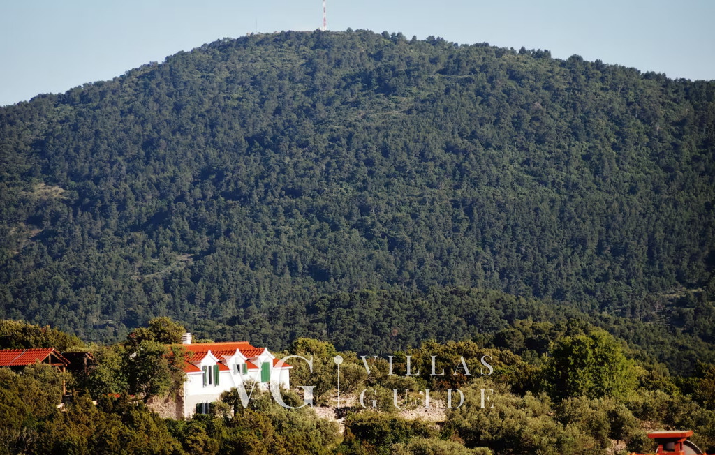 Villa Jelena Microposizione