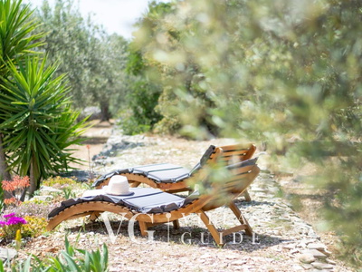 Holiday Home Roza Garden and property exterior