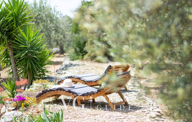 Holiday Home Roza Garden and property exterior