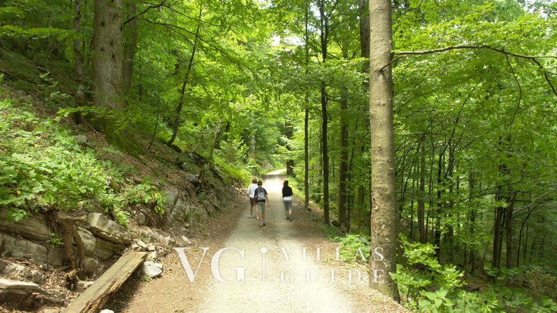 Villa Luxury Love Chalet Mikrolokacija