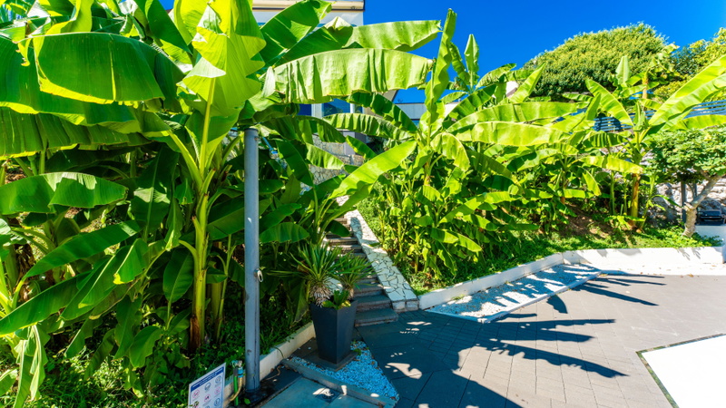 Villa Eduarda pool&whirpool&pet friendly