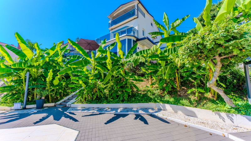 Villa Eduarda pool&whirpool&pet friendly