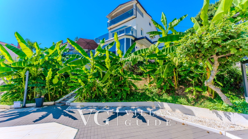 Villa Eduarda pool&whirpool&pet friendly Garden and property exterior