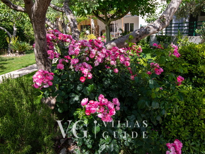 Apartman Dubravka Garden and property exterior