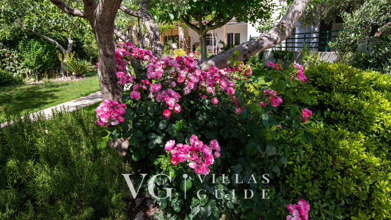 Apartman Dubravka Garden and property exterior