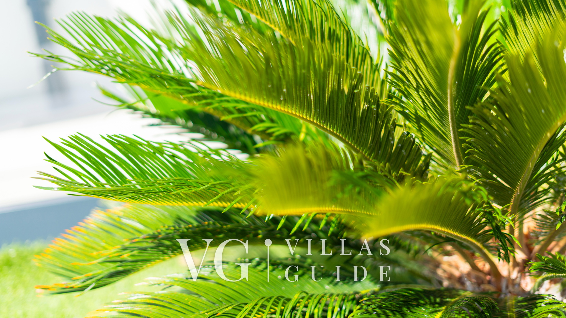 Villa Infinity View Garten und Außenbereich