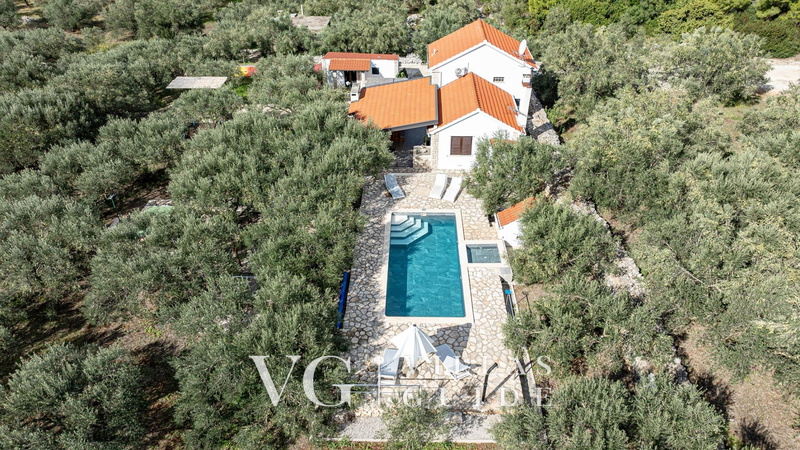 Holiday Home Ivan with heated pool