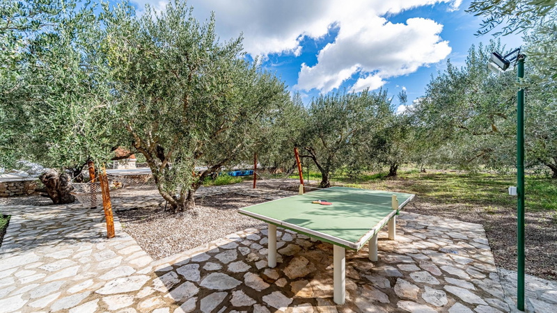 Holiday Home Ivan with heated pool