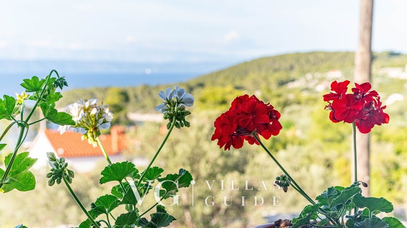 Holiday Home Tania Additional content