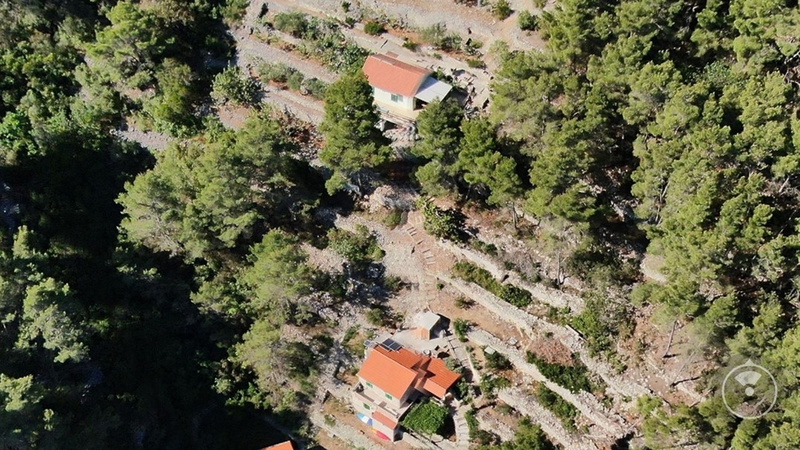 Robinson’s House Maya