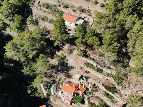 Robinson’s House Maya