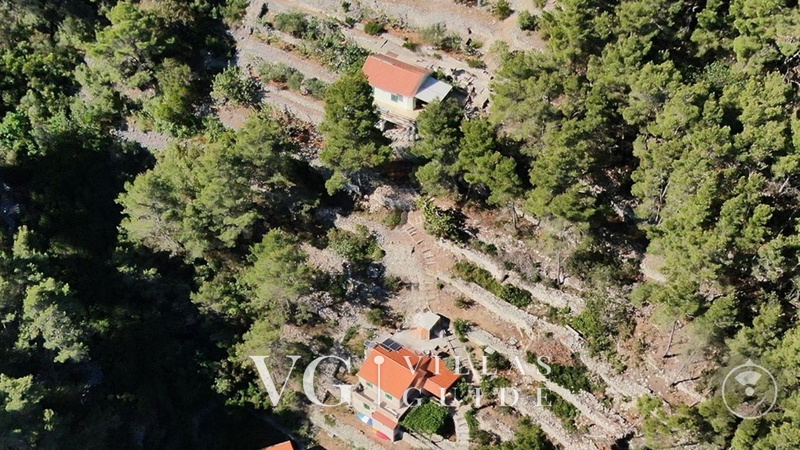 Robinson’s House Maya