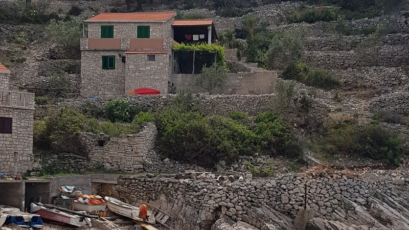 Robinson’s House Maya