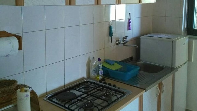 Robinson’s House Maya