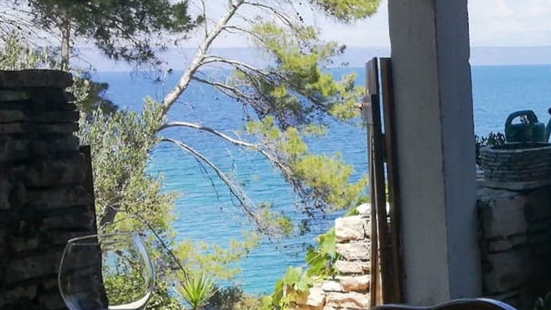 Robinson’s House Maya