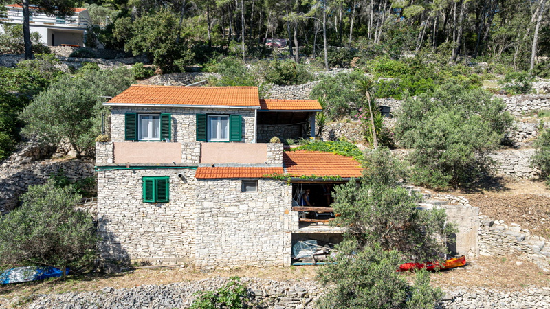 Robinson’s House Maya