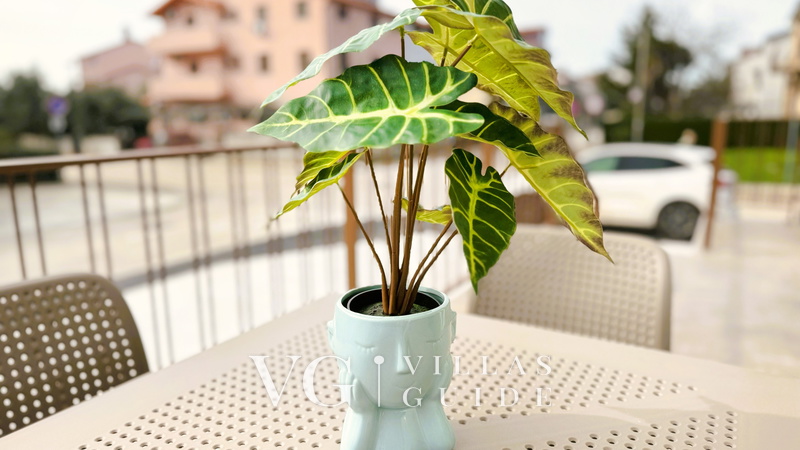 Villa Nina - apartment Terrace 27 Additional content