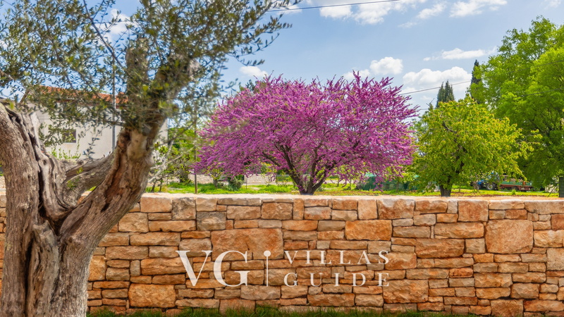 Villa  Valle Lux Contenuto aggiuntivo